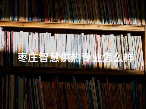 枣庄智慧供热专业怎么样(图1)