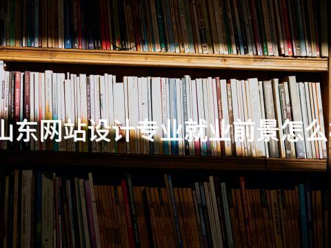 山东网站设计专业就业前景怎么样(图1)