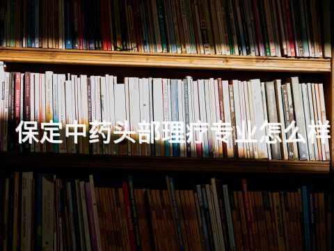 保定中藥頭部理療專業怎么樣
