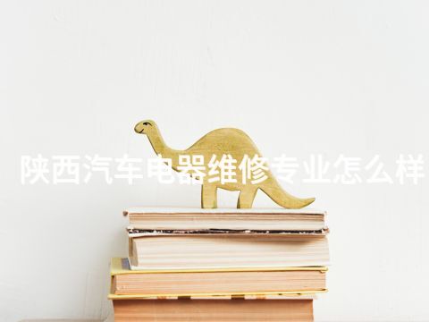 陕西汽车电器维修专业怎么样
