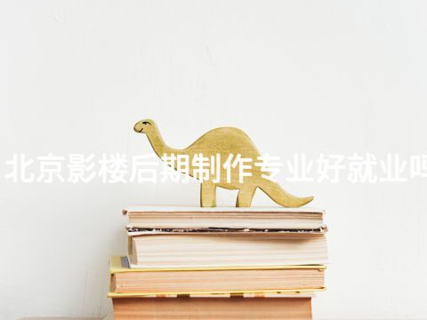 北京影楼后期制作专业好就业吗