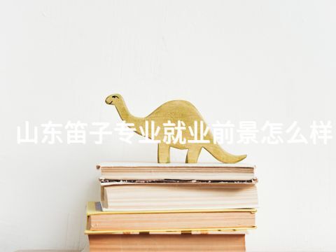 山東笛子專業就業前景怎么樣(圖1) 山東笛子專業就業前景怎么樣(圖1)