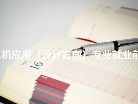 成都计算机应用（设计方向）专业就业前景怎么样