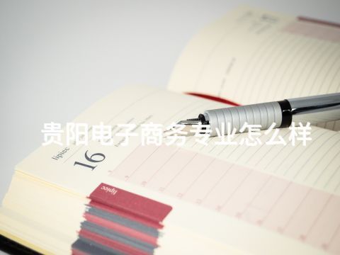 贵阳电子商务专业怎么样