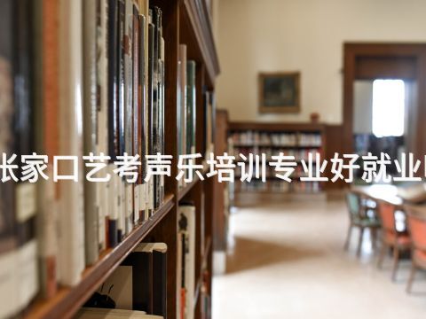 张家口艺考声乐培训专业好就业吗