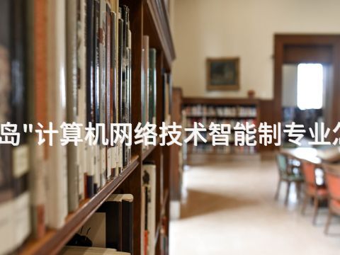 秦皇岛"计算机网络技术智能制专业怎么样