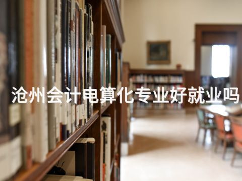 沧州会计电算化专业好就业吗(图1) 沧州会计电算化专业好就业吗(图1)