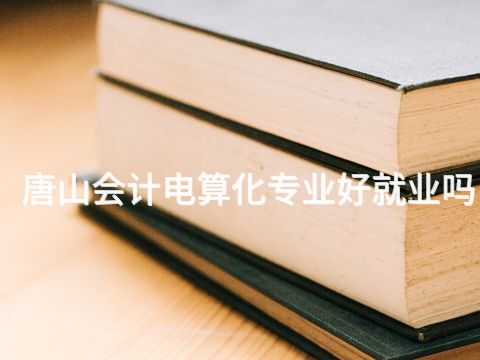 唐山会计电算化专业好就业吗(图1) 唐山会计电算化专业好就业吗(图1)