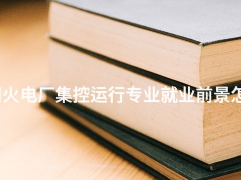 郑州火电厂集控运行专业就业前景怎么样(图1) 郑州火电厂集控运行专业就业前景怎么样(图1)