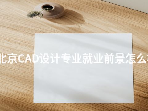 北京CAD设计专业就业前景怎么样 北京CAD设计专业就业前景怎么样
