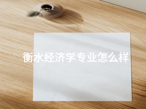 衡水经济学专业怎么样