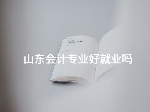 山东会计专业好就业吗(图1) 山东会计专业好就业吗(图1)