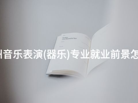 滨州音乐表演(器乐)专业就业前景怎么样