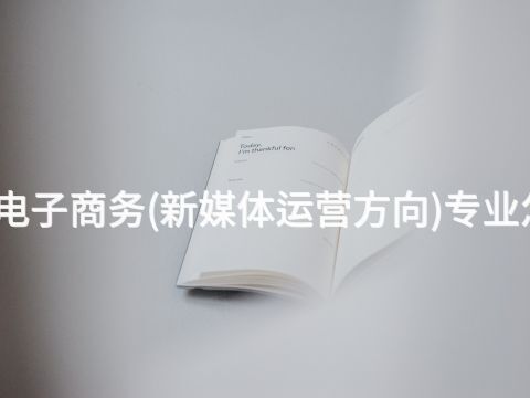 济南电子商务(新媒体运营方向)专业怎么样(图1) 济南电子商务(新媒体运营方向)专业怎么样(图1)