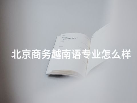北京商务越南语专业怎么样