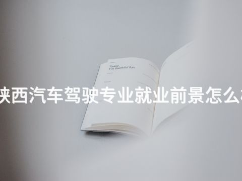 陕西汽车驾驶专业就业前景怎么样