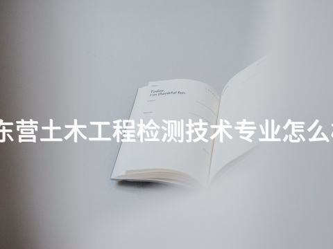 东营土木工程检测技术专业怎么样