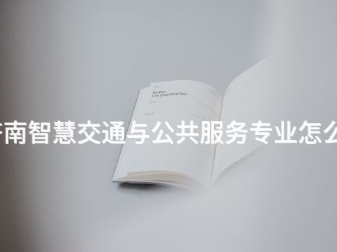 济南智慧交通与公共服务专业怎么样