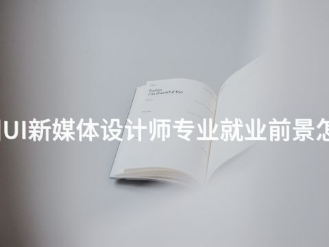 沧州UI新媒体设计师专业就业前景怎么样