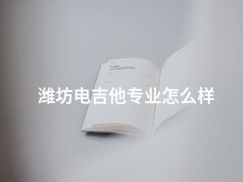 濰坊電吉他專業怎么樣