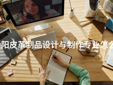 贵阳皮革制品设计与制作专业怎么样