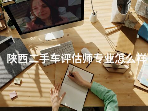 陕西二手车评估师专业怎么样