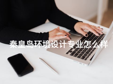秦皇岛环境设计专业怎么样