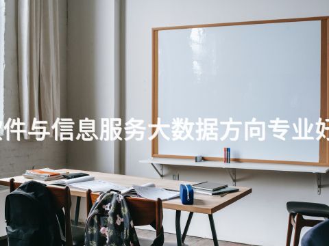 贵阳软件与信息服务大数据方向专业好就业吗(图1) 贵阳软件与信息服务大数据方向专业好就业吗(图1)