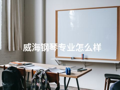 威海钢琴专业怎么样