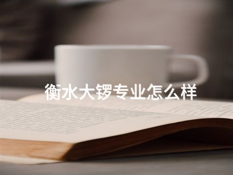 衡水大鑼專業(yè)怎么樣(圖1) 衡水大鑼專業(yè)怎么樣(圖1)