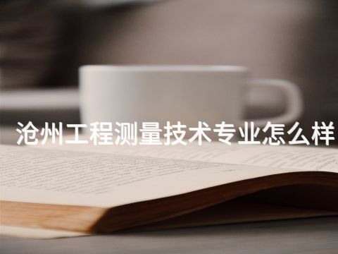 滄州工程測(cè)量技術(shù)專業(yè)怎么樣(圖1) 滄州工程測(cè)量技術(shù)專業(yè)怎么樣(圖1)
