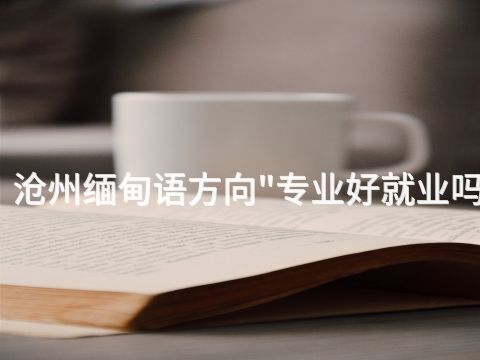 沧州缅甸语方向"专业好就业吗