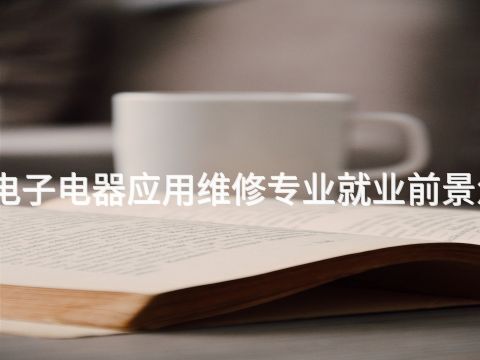 滨州电子电器应用维修专业就业前景怎么样