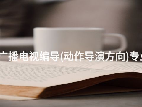 雄安新区广播电视编导(动作导演方向)专业好就业吗