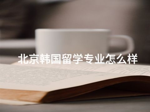 北京韩国留学专业怎么样