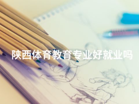 陜西體育教育專業好就業嗎