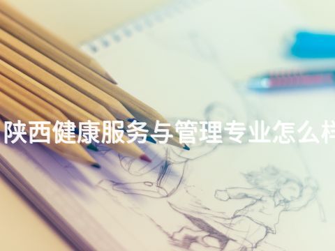陕西健康服务与管理专业怎么样