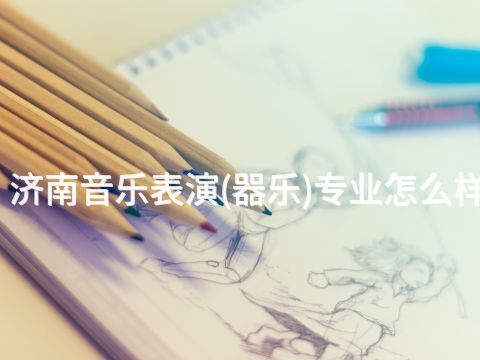 济南音乐表演(器乐)专业怎么样