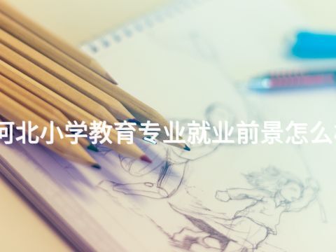 河北小学教育专业就业前景怎么样(图1) 河北小学教育专业就业前景怎么样(图1)