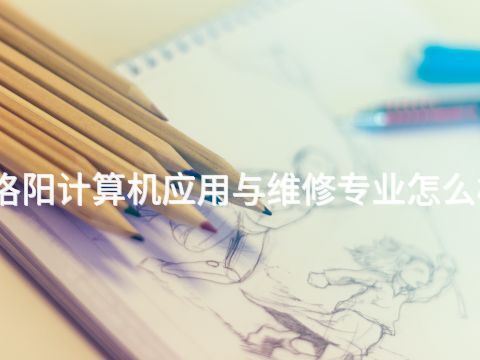 洛阳计算机应用与维修专业怎么样