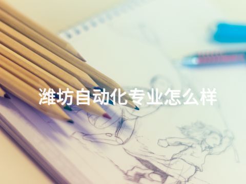 潍坊自动化专业怎么样