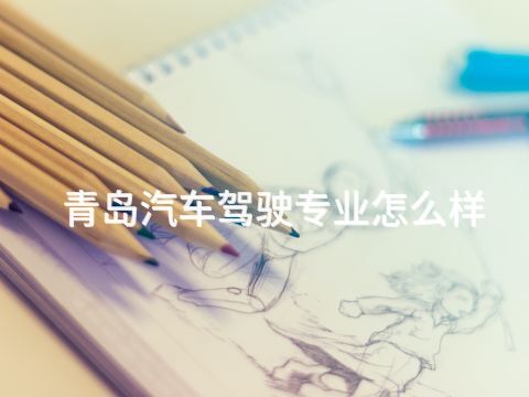 青岛汽车驾驶专业怎么样(图1) 青岛汽车驾驶专业怎么样(图1)