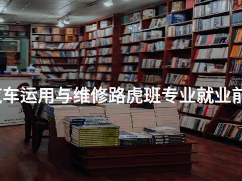 石家庄汽车运用与维修路虎班专业就业前景怎么样