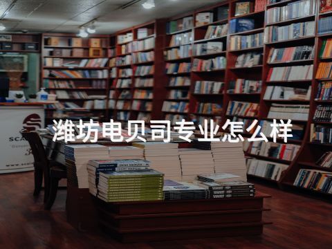 濰坊電貝司專業怎么樣