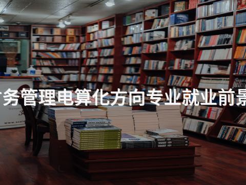 北京财务管理电算化方向专业就业前景怎么样(图1) 北京财务管理电算化方向专业就业前景怎么样(图1)
