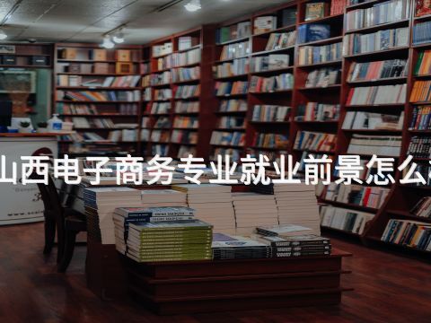 山西电子商务专业就业前景怎么样(图1) 山西电子商务专业就业前景怎么样(图1)