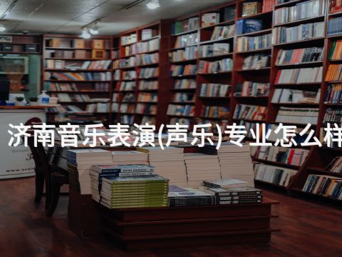 济南音乐表演(声乐)专业怎么样