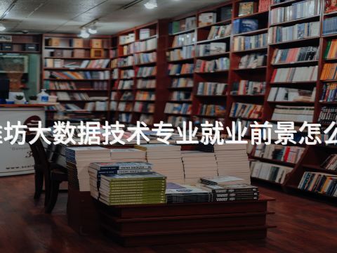 潍坊大数据技术专业就业前景怎么样(图1) 潍坊大数据技术专业就业前景怎么样(图1)