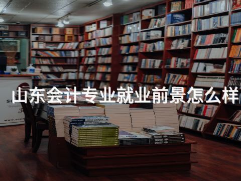 山东会计专业就业前景怎么样(图1) 山东会计专业就业前景怎么样(图1)