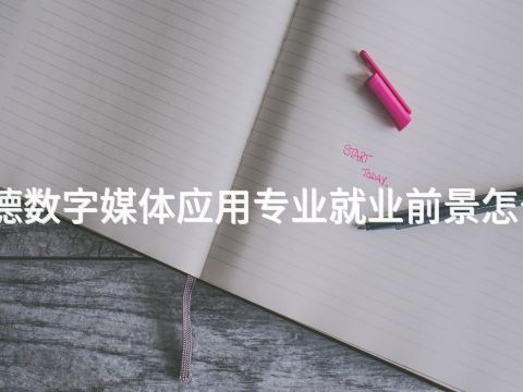 承德数字媒体应用专业就业前景怎么样
